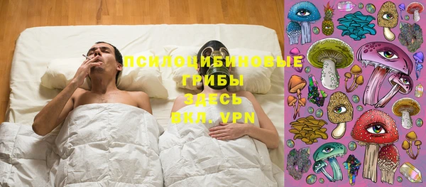прущие крисы Армянск