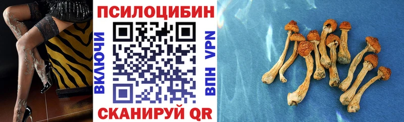 цены наркотик  Ухта  Псилоцибиновые грибы Psilocybe 